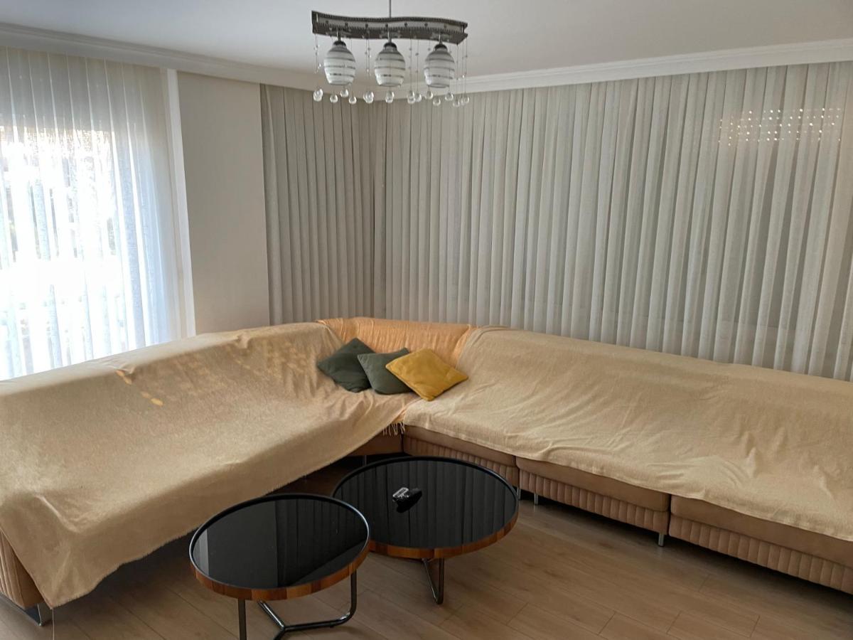 Caohome シダ エクステリア 写真